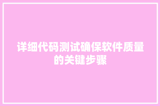 详细代码测试确保软件质量的关键步骤