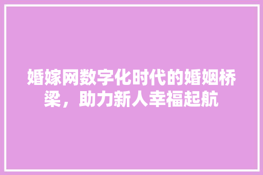 婚嫁网数字化时代的婚姻桥梁，助力新人幸福起航