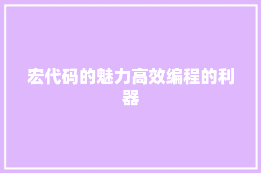 宏代码的魅力高效编程的利器