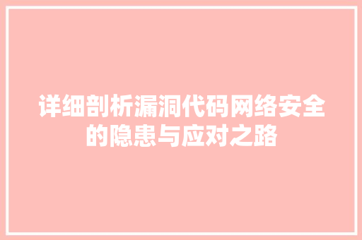详细剖析漏洞代码网络安全的隐患与应对之路