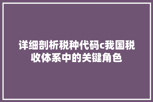 详细剖析税种代码c我国税收体系中的关键角色