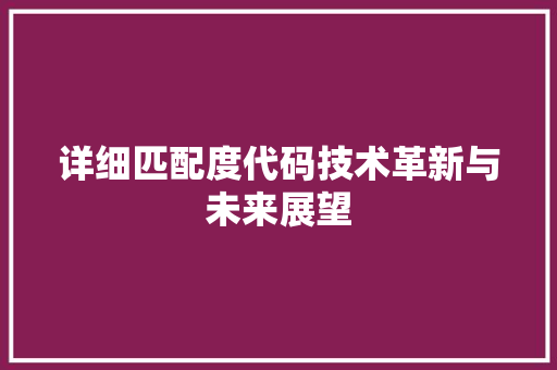 详细匹配度代码技术革新与未来展望
