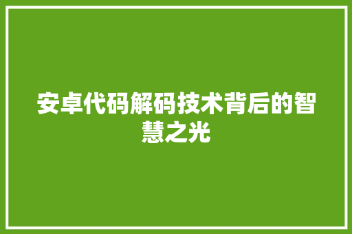 安卓代码解码技术背后的智慧之光