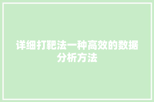 详细打靶法一种高效的数据分析方法