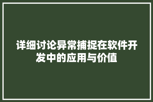 详细讨论异常捕捉在软件开发中的应用与价值