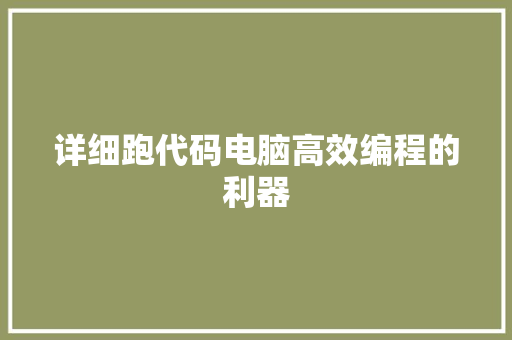 详细跑代码电脑高效编程的利器