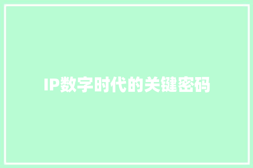 IP数字时代的关键密码