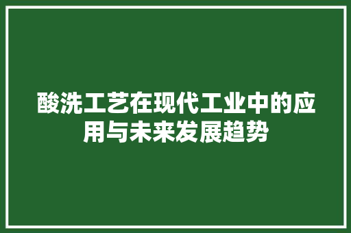 酸洗工艺在现代工业中的应用与未来发展趋势