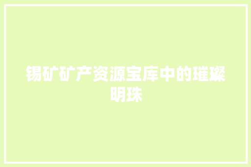 锡矿矿产资源宝库中的璀璨明珠