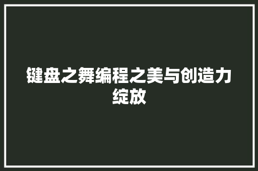 键盘之舞编程之美与创造力绽放