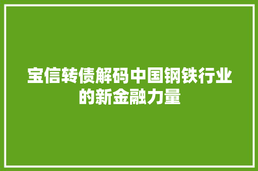 宝信转债解码中国钢铁行业的新金融力量
