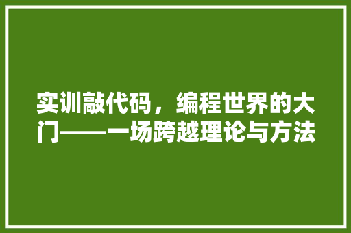 实训敲代码，编程世界的大门——一场跨越理论与方法的奇妙旅程