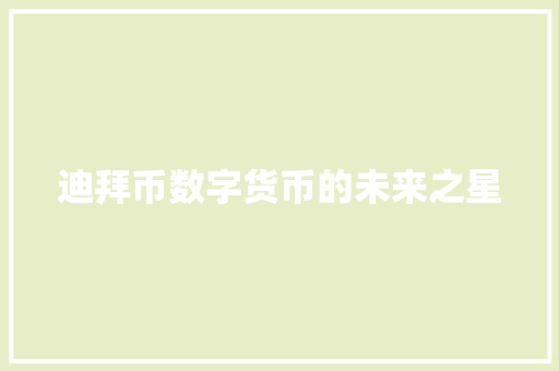 迪拜币数字货币的未来之星