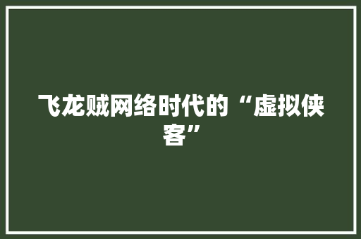 飞龙贼网络时代的“虚拟侠客”