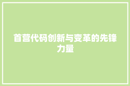 首营代码创新与变革的先锋力量