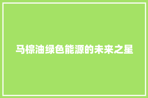 马棕油绿色能源的未来之星