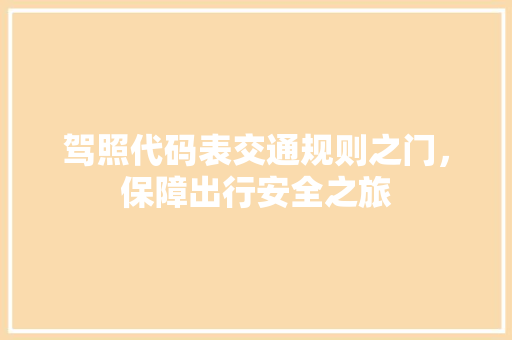 驾照代码表交通规则之门，保障出行安全之旅