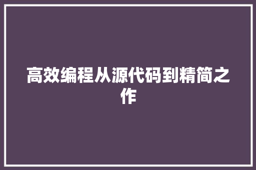 高效编程从源代码到精简之作