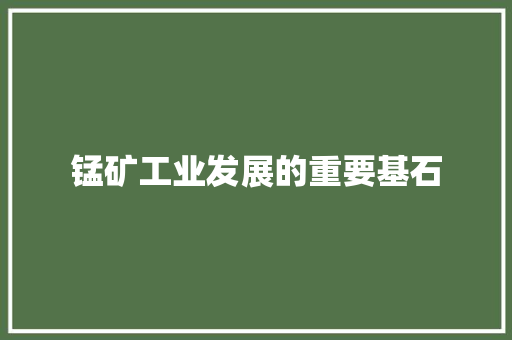 锰矿工业发展的重要基石