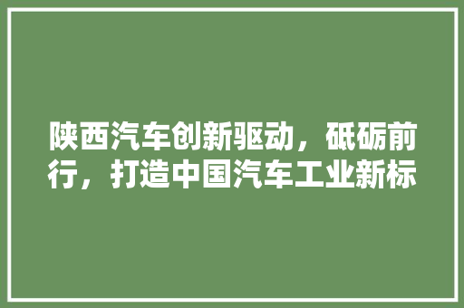陕西汽车创新驱动，砥砺前行，打造中国汽车工业新标杆