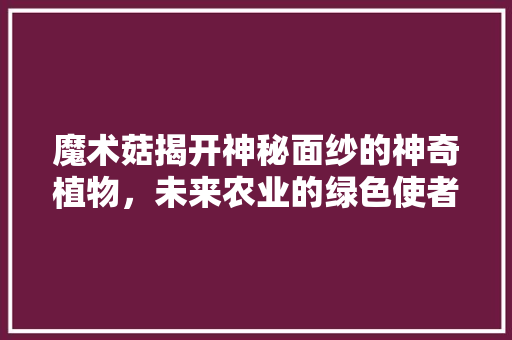 魔术菇揭开神秘面纱的神奇植物，未来农业的绿色使者