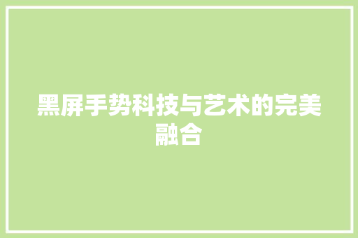 黑屏手势科技与艺术的完美融合