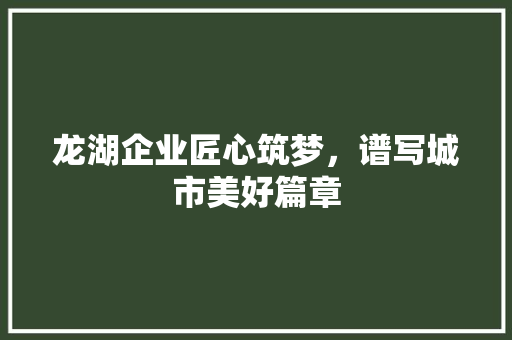 龙湖企业匠心筑梦，谱写城市美好篇章