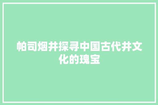 帕司烟井探寻中国古代井文化的瑰宝