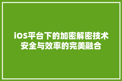 iOS平台下的加密解密技术安全与效率的完美融合