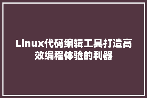 Linux代码编辑工具打造高效编程体验的利器