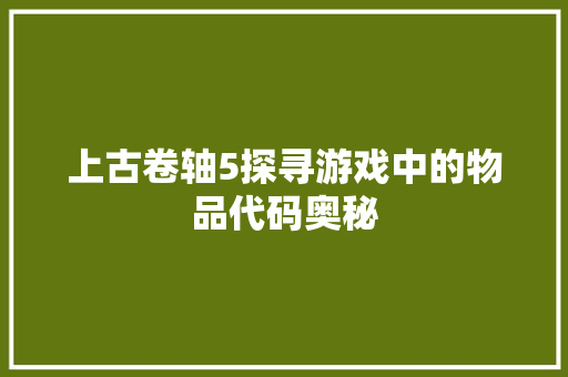 上古卷轴5探寻游戏中的物品代码奥秘