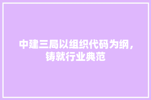 中建三局以组织代码为纲，铸就行业典范