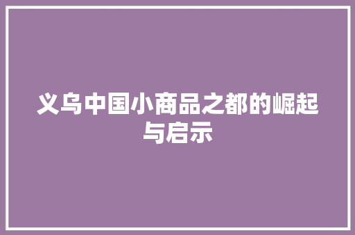 义乌中国小商品之都的崛起与启示