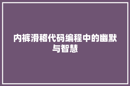 内裤滑稽代码编程中的幽默与智慧