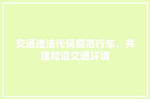 交通违法代码规范行车，共建和谐交通环境