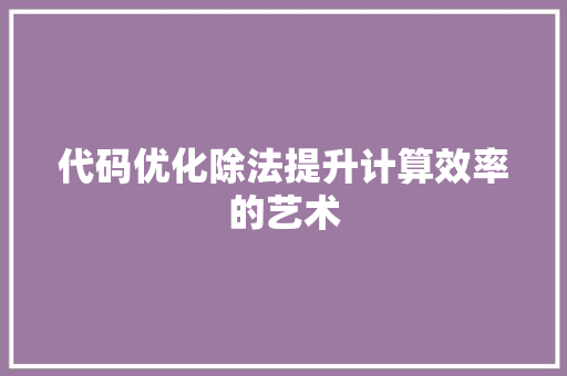 代码优化除法提升计算效率的艺术