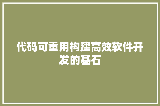代码可重用构建高效软件开发的基石