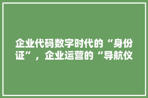 企业代码数字时代的“身份证”，企业运营的“导航仪”  第1张