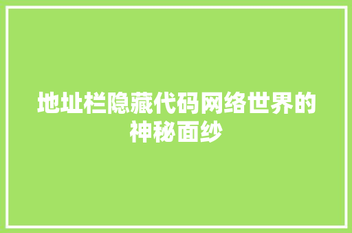 地址栏隐藏代码网络世界的神秘面纱