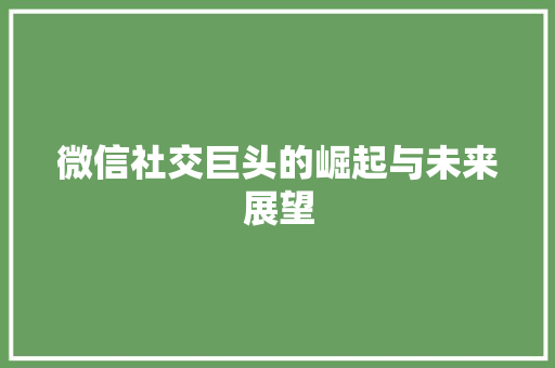 微信社交巨头的崛起与未来展望