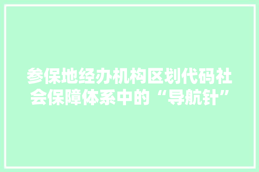 参保地经办机构区划代码社会保障体系中的“导航针”