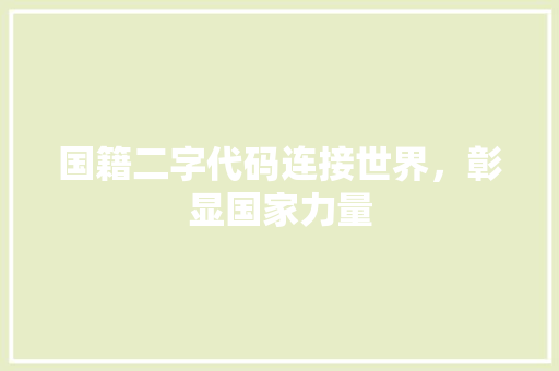 国籍二字代码连接世界，彰显国家力量