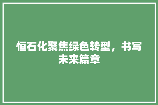 恒石化聚焦绿色转型，书写未来篇章  第1张