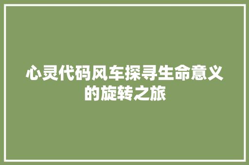 心灵代码风车探寻生命意义的旋转之旅