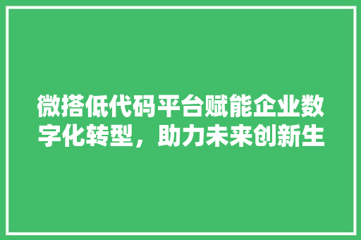 微搭低代码平台赋能企业数字化转型，助力未来创新生态