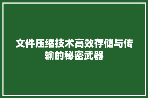 文件压缩技术高效存储与传输的秘密武器