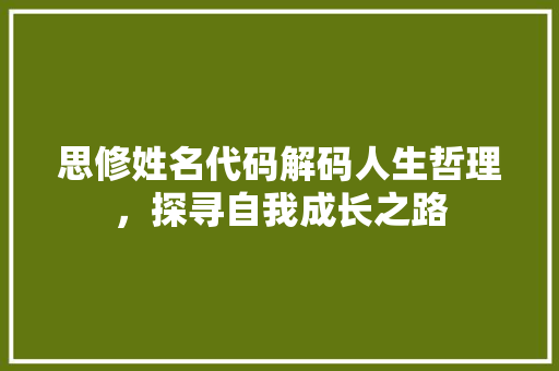 思修姓名代码解码人生哲理，探寻自我成长之路