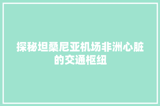 探秘坦桑尼亚机场非洲心脏的交通枢纽