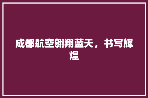 成都航空翱翔蓝天，书写辉煌