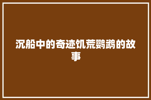 沉船中的奇迹饥荒鹦鹉的故事